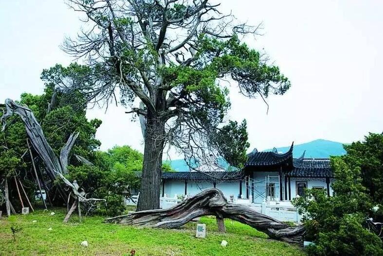 某餐厅海信中央空调系统吸顶机工程